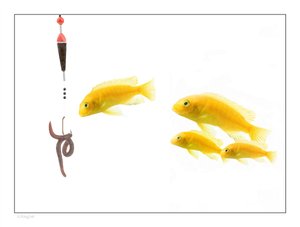 工具常见误区TOP10